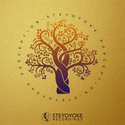 Steyoyoke Perception, Vol. 6