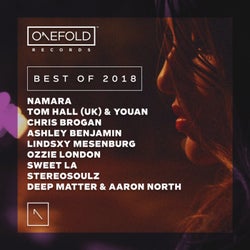 OneFold Records - Best of 2018