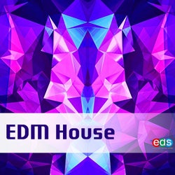 EDM House