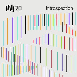 VW20 : Introspection - Volume 5