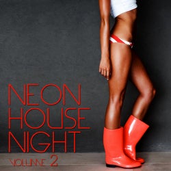 Neon House Night Vol. 2