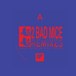 2 Bad Mice Remixes