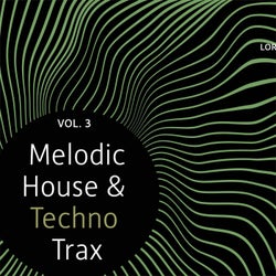 Melodic House & Techno Trax, Vol. 3