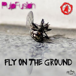 Fly on the Ground