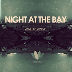 Night at the Bay - VA Compilation