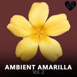 Ambient Amarilla, Vol. 2