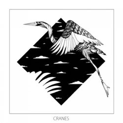 Cranes