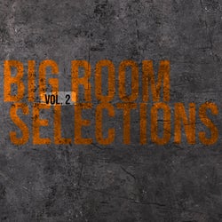 Big Room Selections, Vol. 2 - Compiled and Selected by Sneja