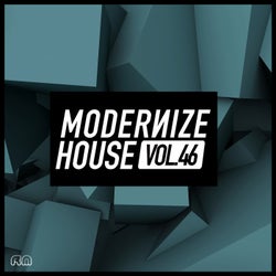 Modernize House Vol. 46