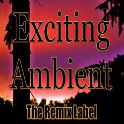 Exciting Ambient (Progressive Chillout Music Album Plus Bonus Megamix)