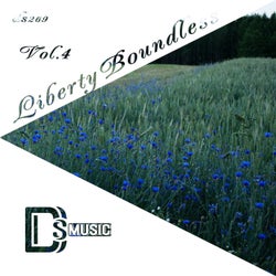 Liberty Boundless, Vol. 4