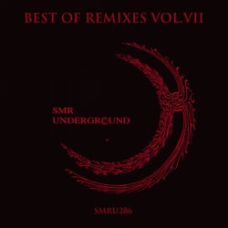 Best Of Remixes Vol.VII