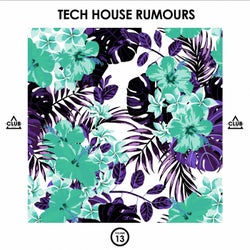 Tech House Rumours, Vol. 13