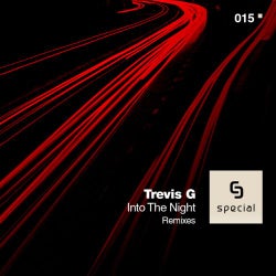 Into The Night Remixes