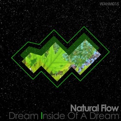 Dream Inside of a Dream LP