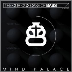 Mind Palace