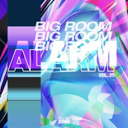 Big Room Alarm, Vol. 25