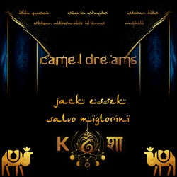 Camel Dreams