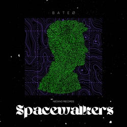 Spacewalkers