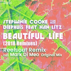 Beautiful Life (Remixes)