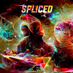 Spliced