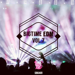 Bigtime EDM, Vol. 7