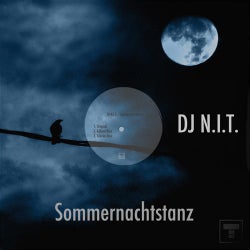 Sommernachtstanz