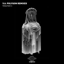 Va Polygon Remixes, Vol. 1