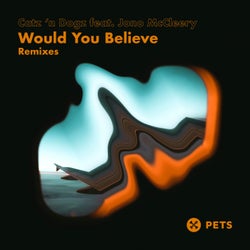 Would You Believe Remixes