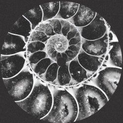 747 Ammonite Chart