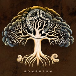 Momentum