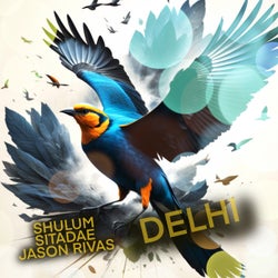 Delhi