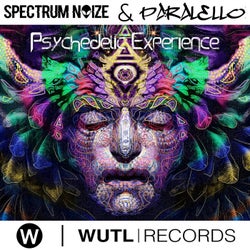 Psychedelic Experience