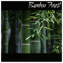 Bamboo Forest