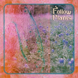 Follow Plants