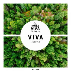 Viva 2019.1