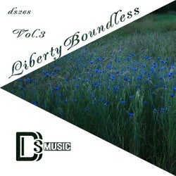 Liberty Boundless, Vol. 3