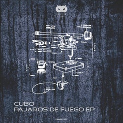 Pajaros De Fuego EP