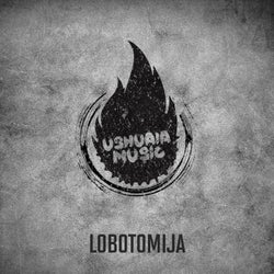 Lobotomija