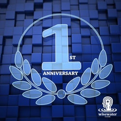 1st Anniversary by Wisewater Records