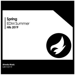 Spring EDM Summer Hits 2019