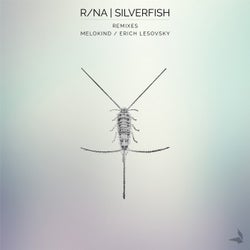 Silverfish