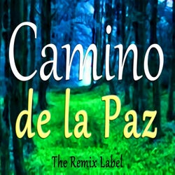 Camino de la Paz (Musica Cristiana para Ninos)