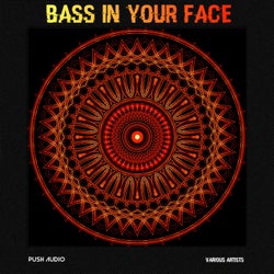 Bass In Your Face