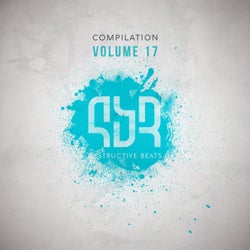 Destructive Compilation, Vol. 17