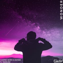 Wonder (feat. Tadeusz)