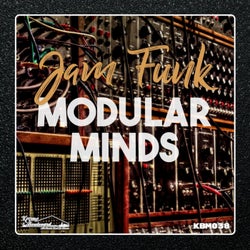 Modular Minds