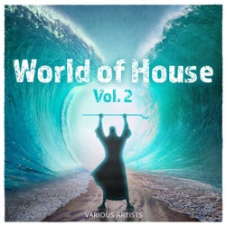 World of House, Vol. 2