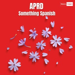 Something Spanish (Extended Mix)