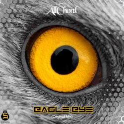 Eagle Eye